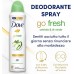 Dove, Deodorante Go Fresh Cetriolo e Tè Verde Spray 150 ml [Quantità minima 6 pezzi]